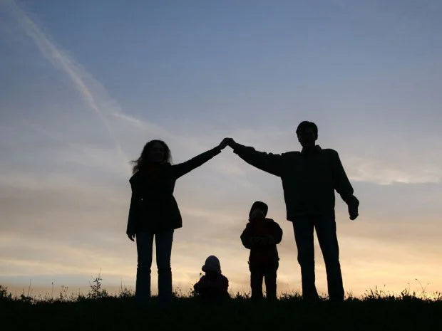 The Aspects of Parenting